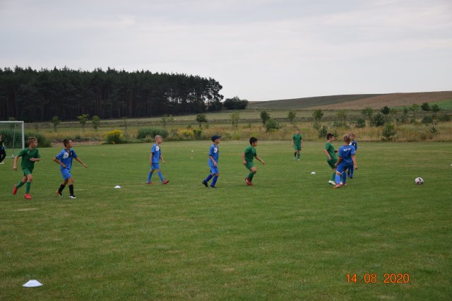 plewis 4